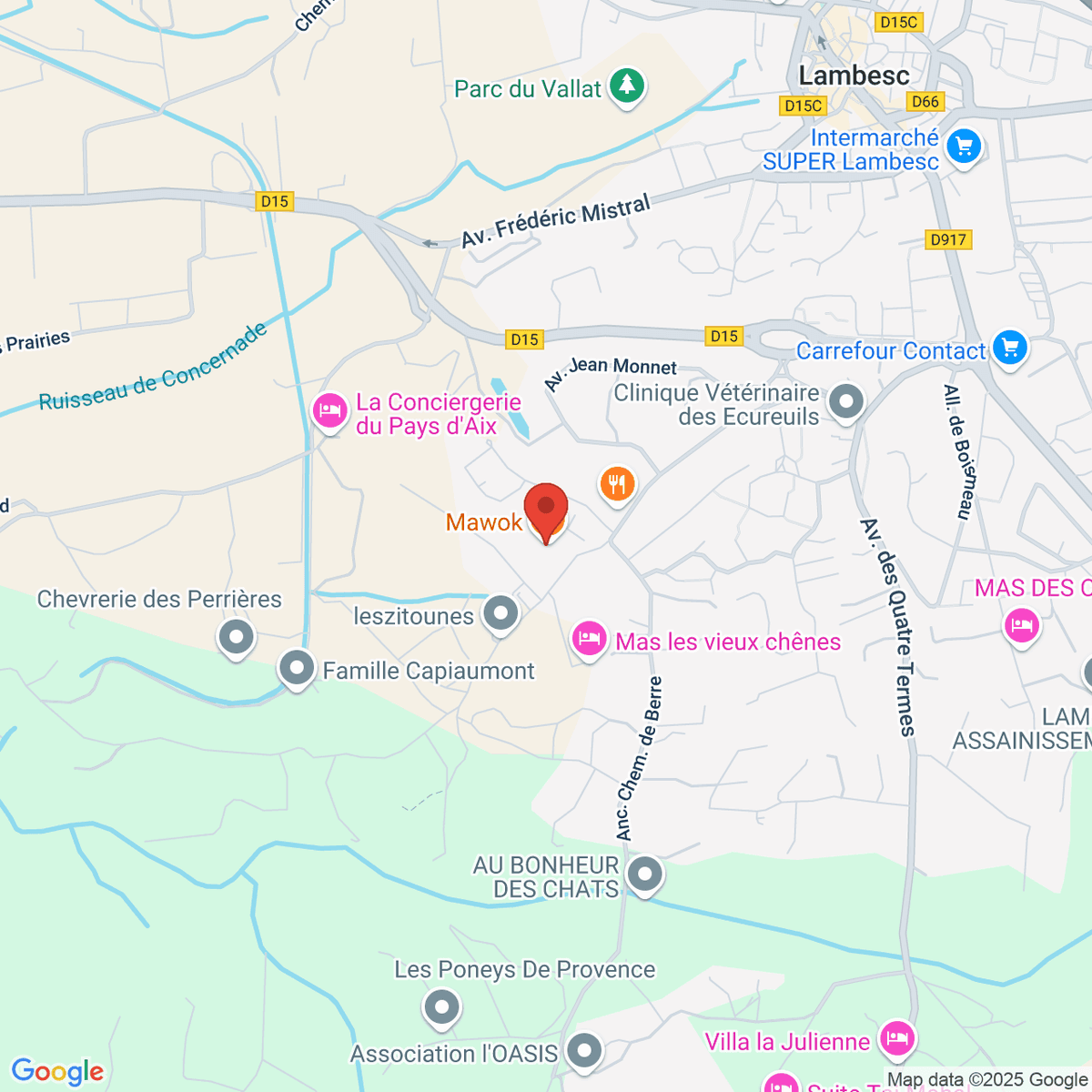 google-map-placeholder-image