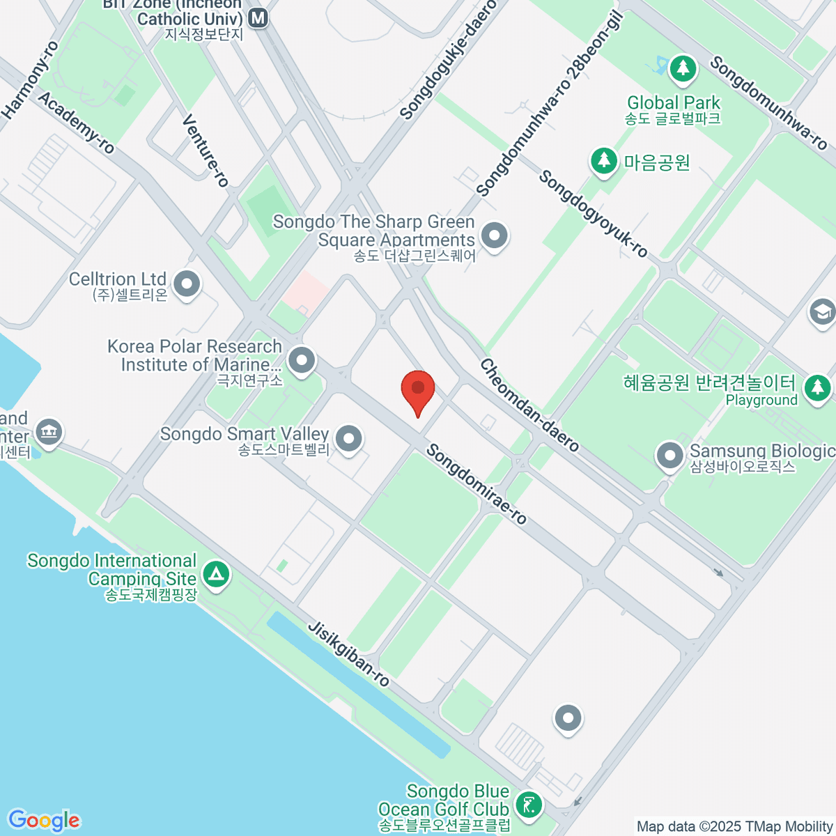google-map-placeholder-image