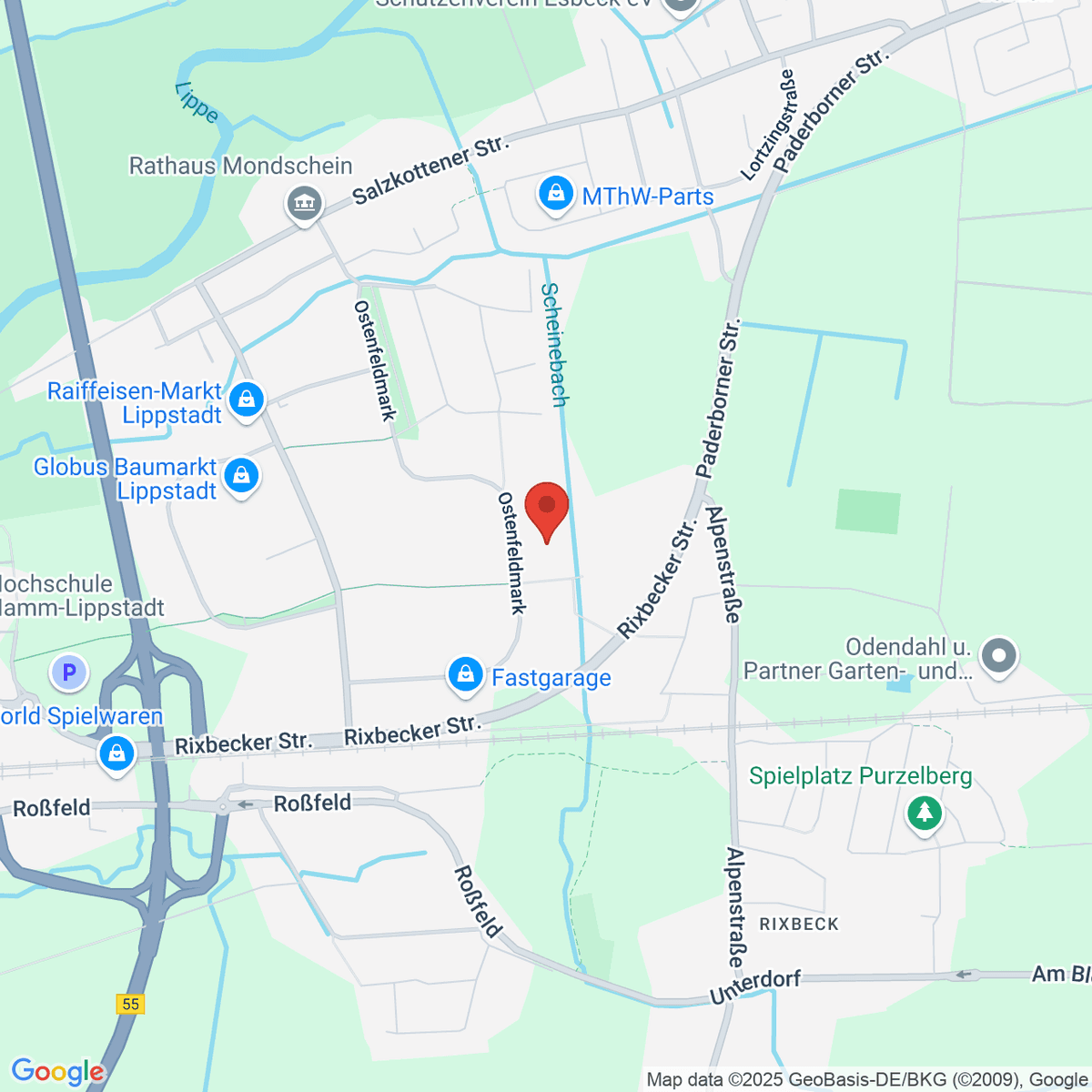 google-map-placeholder-image