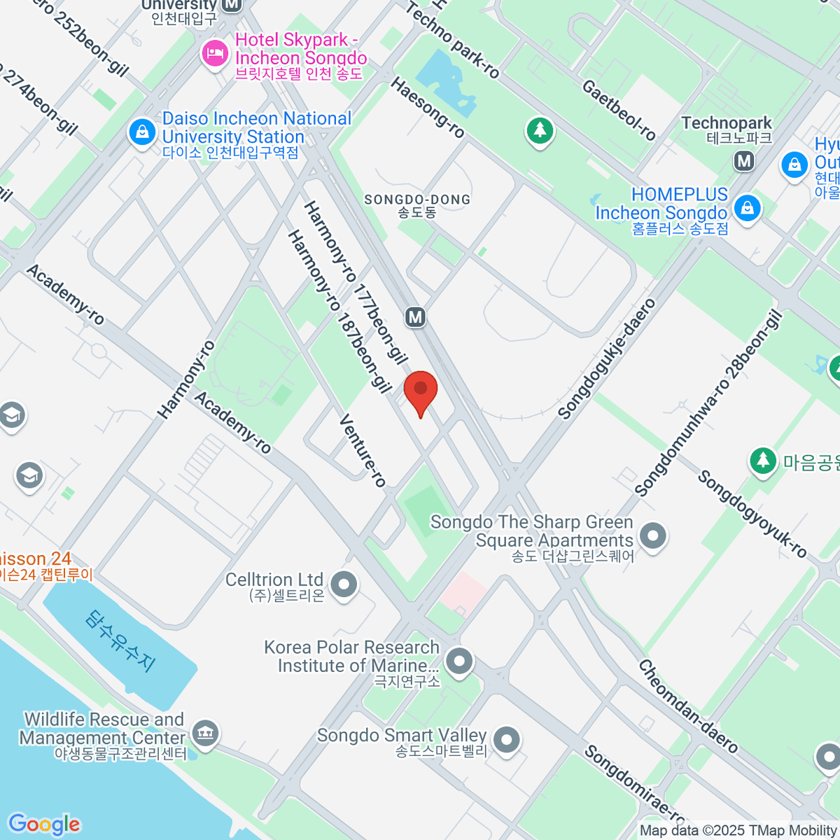 google-map-placeholder-image