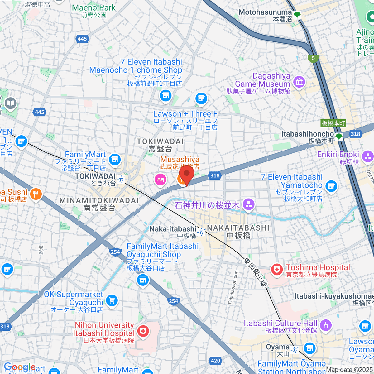 google-map-placeholder-image