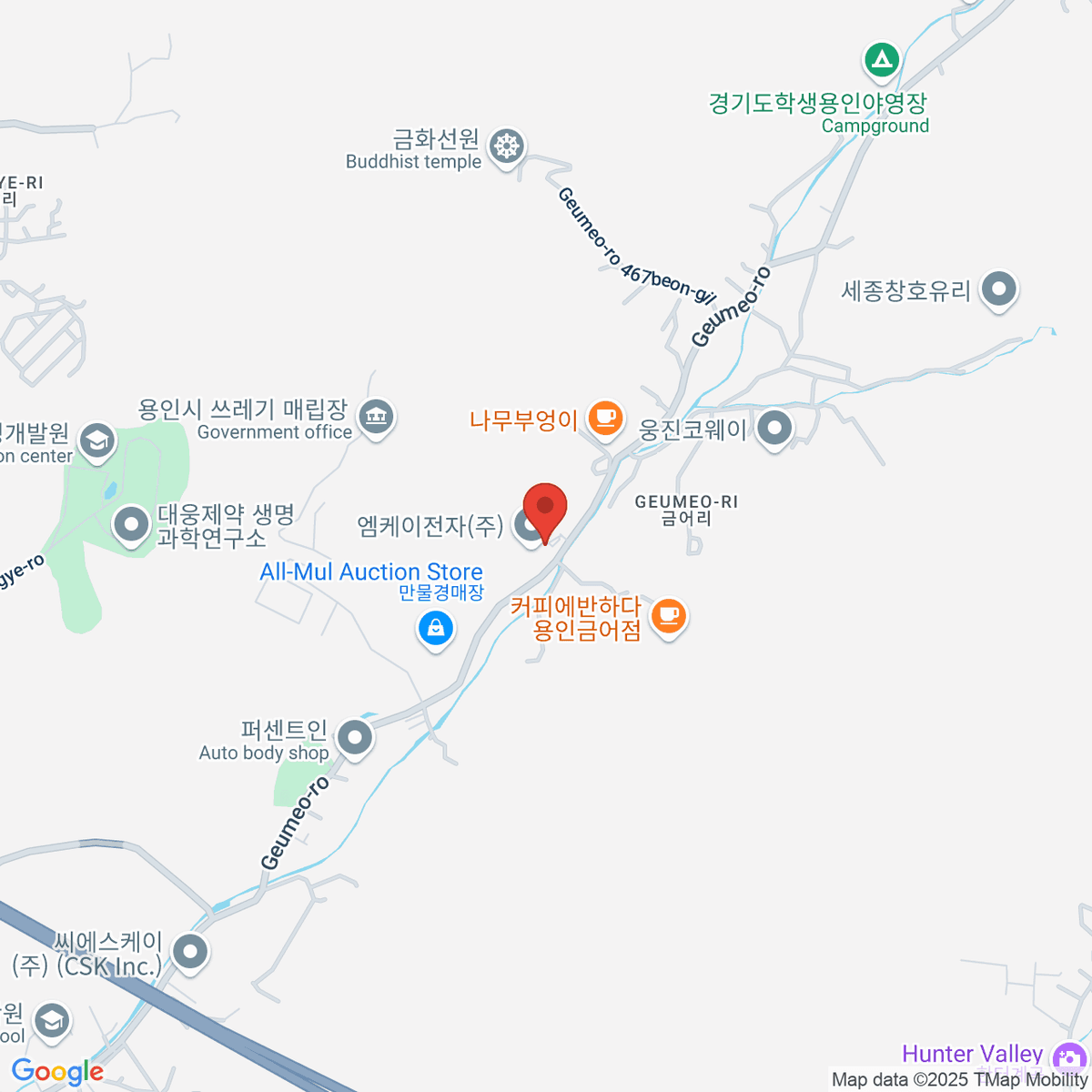 google-map-placeholder-image