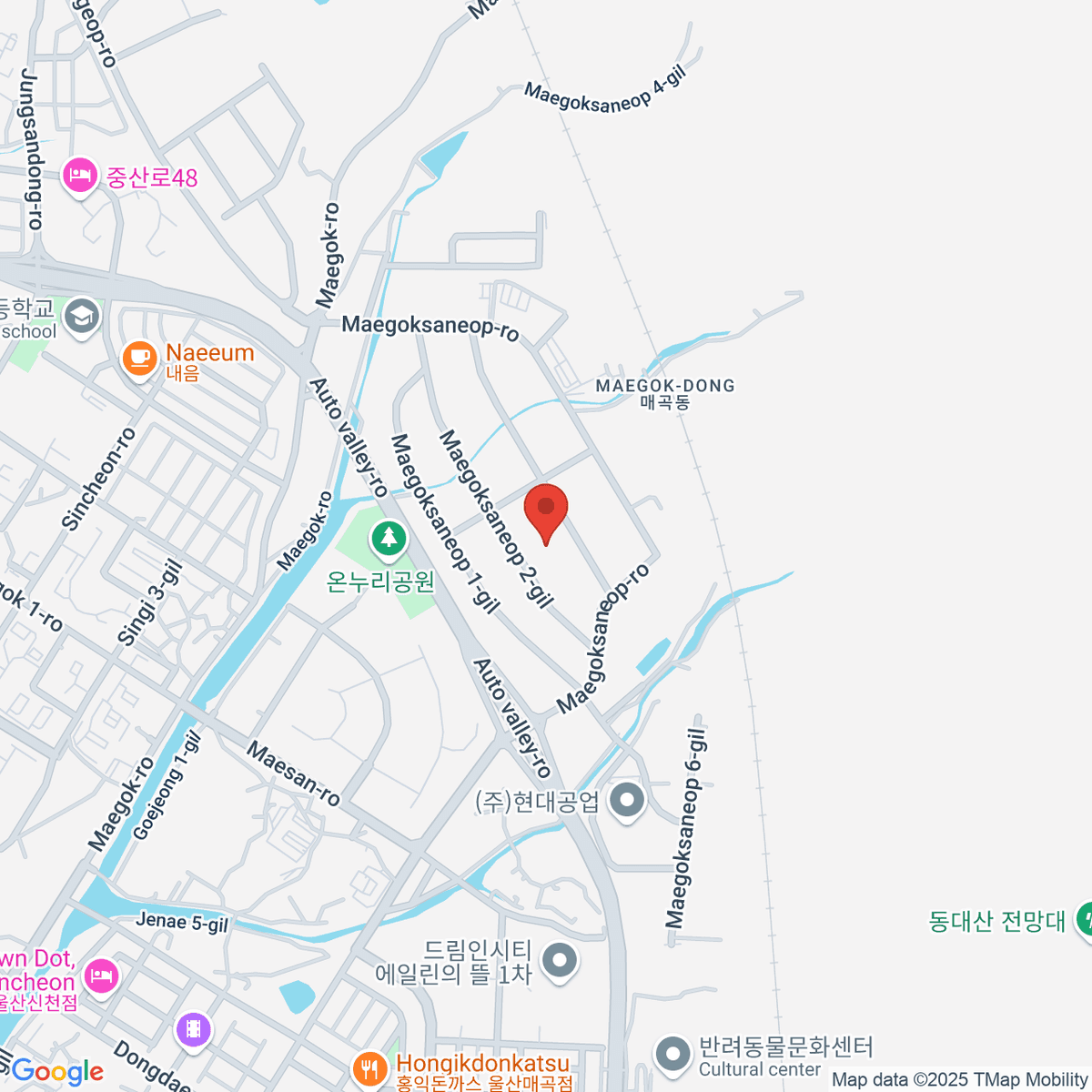 google-map-placeholder-image