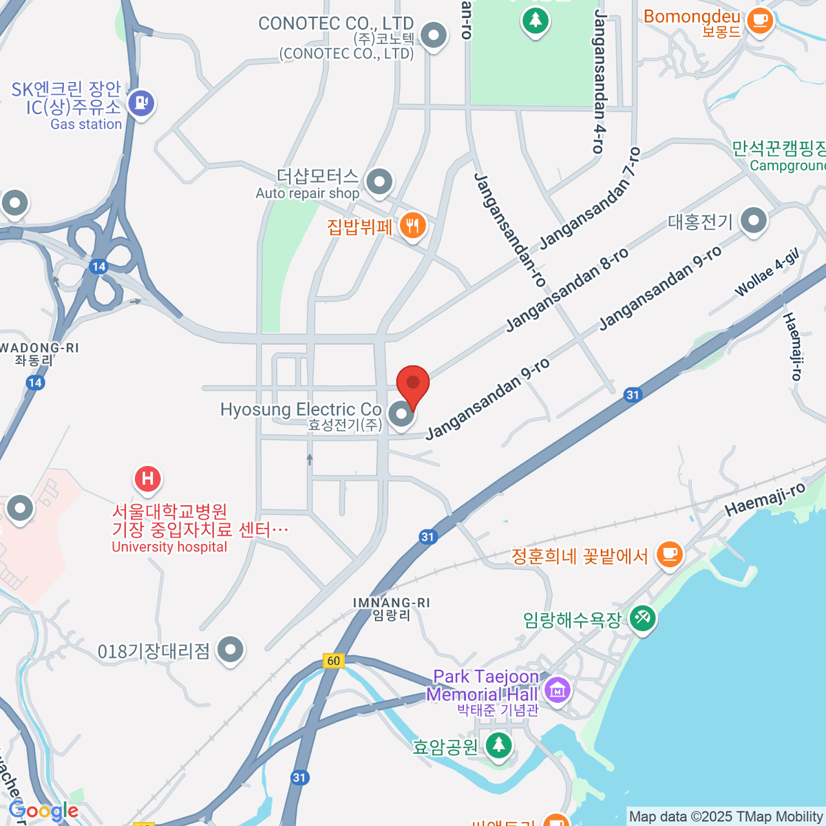 google-map-placeholder-image