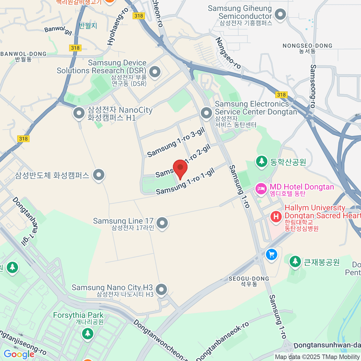 google-map-placeholder-image