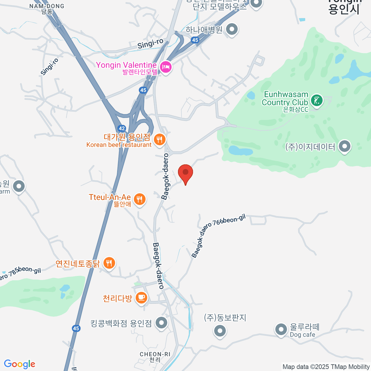 google-map-placeholder-image