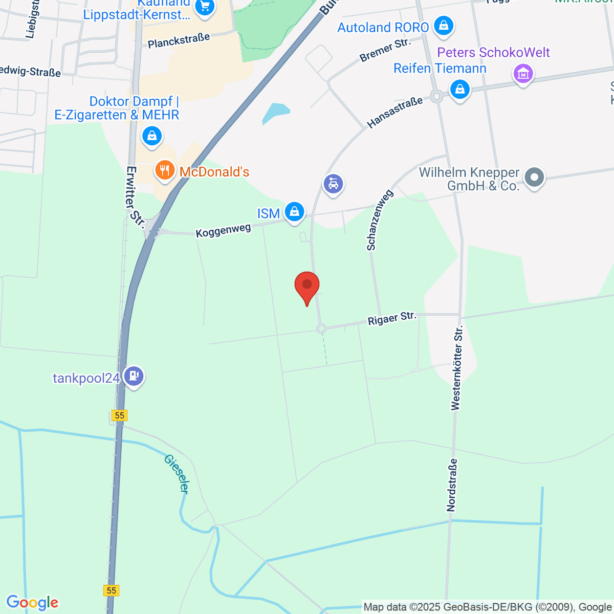 google-map-placeholder-image