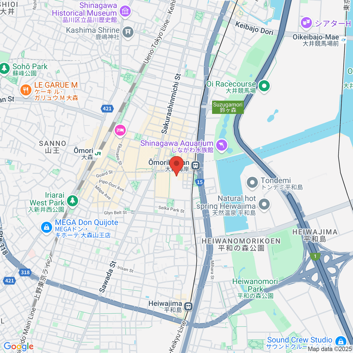google-map-placeholder-image
