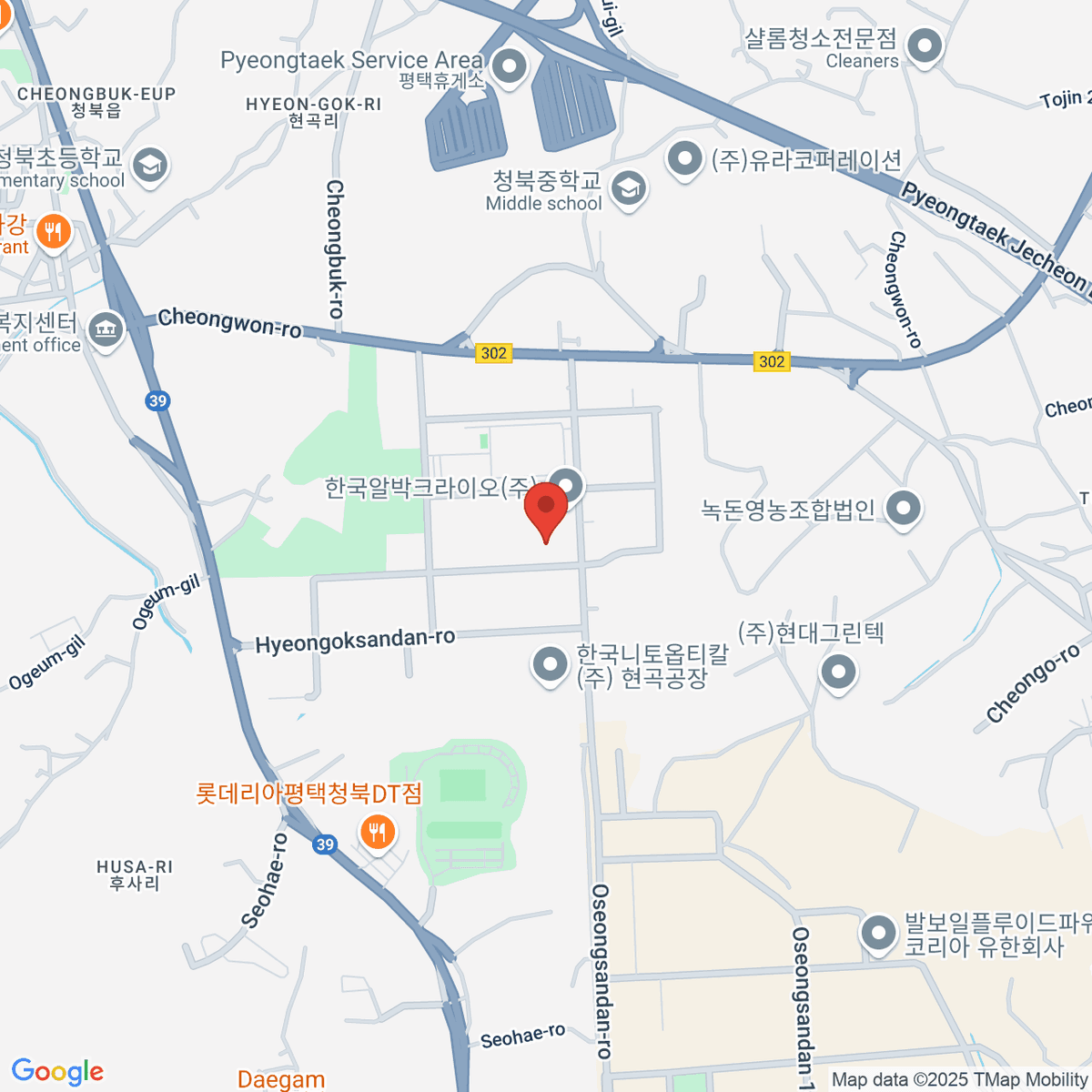google-map-placeholder-image