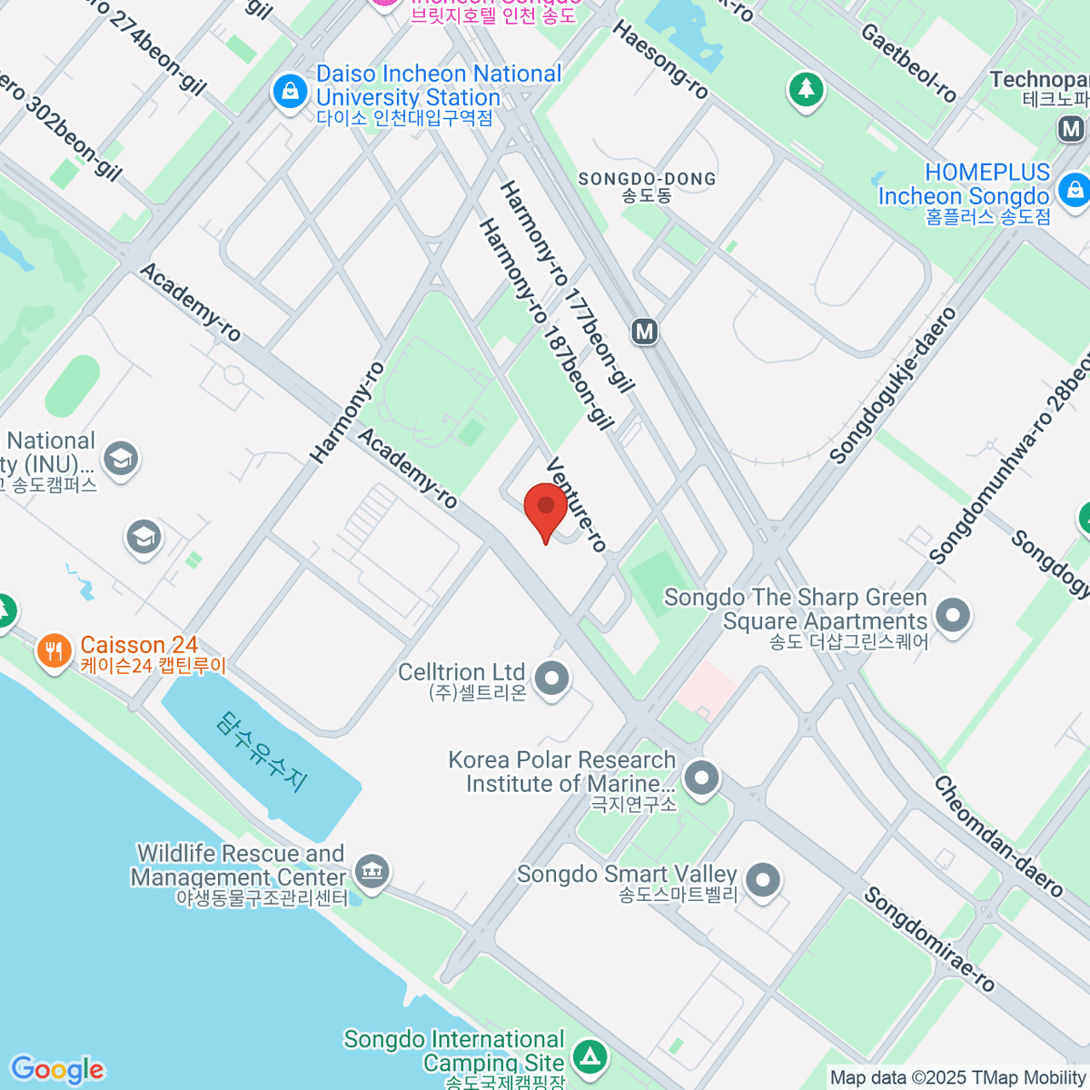 google-map-placeholder-image