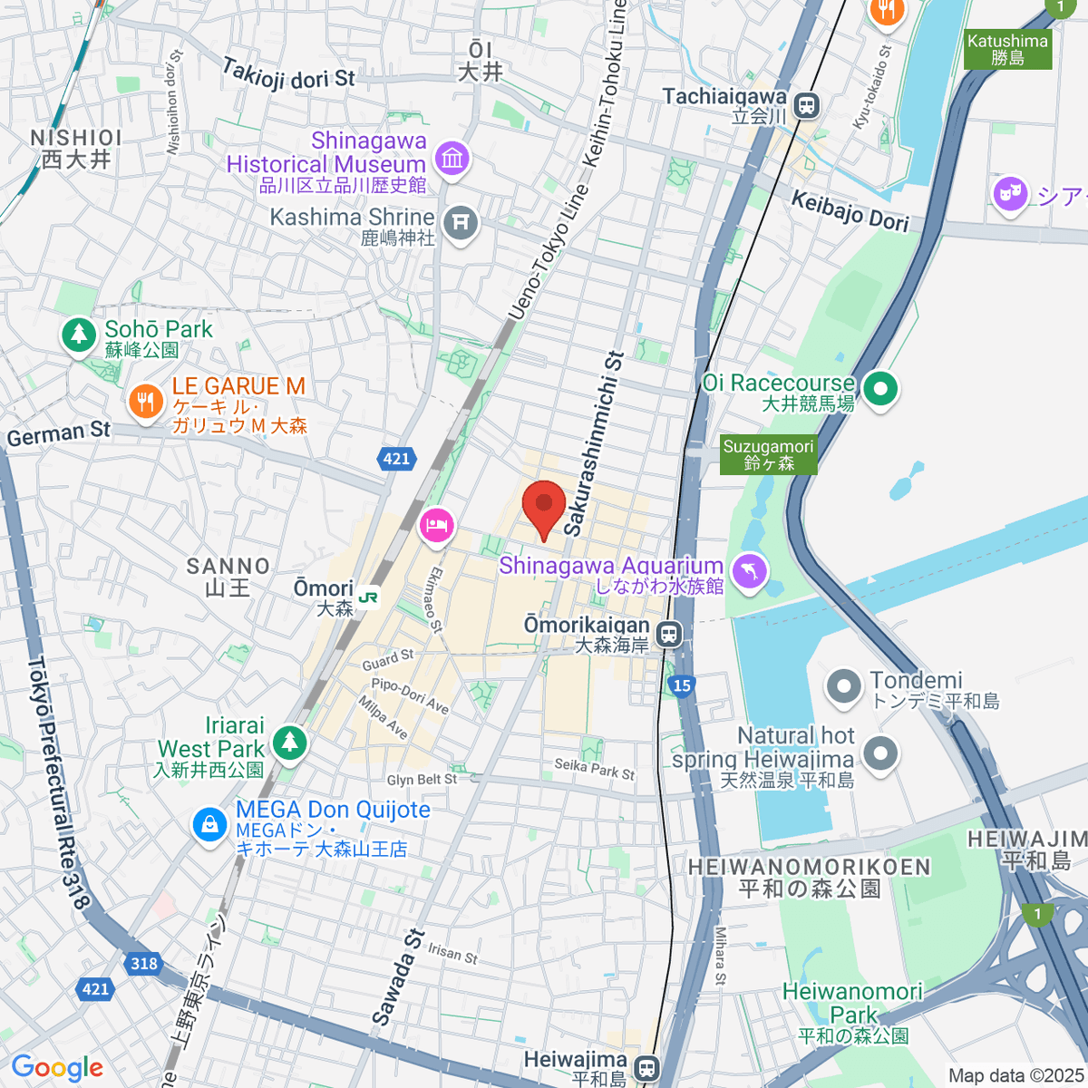 google-map-placeholder-image
