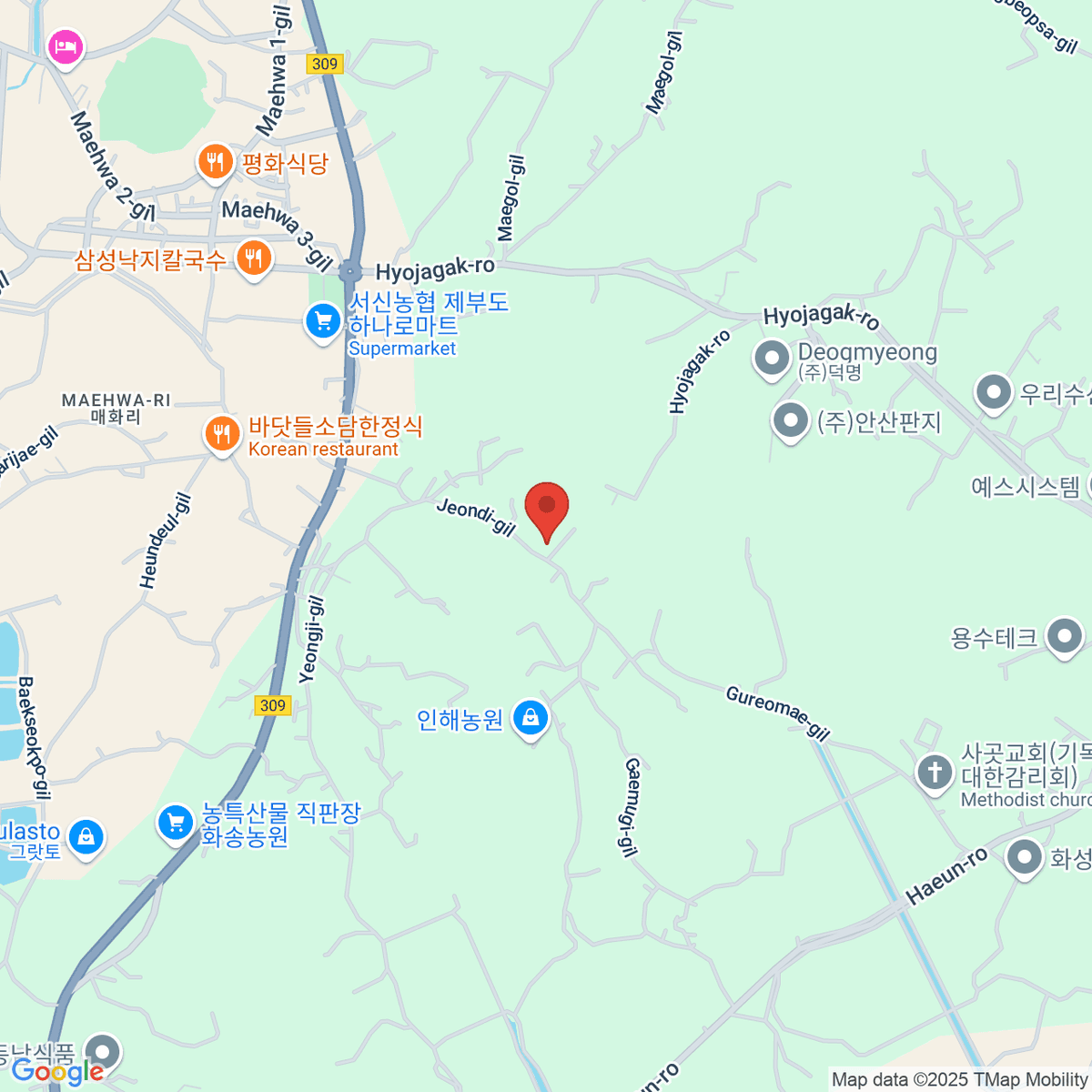 google-map-placeholder-image