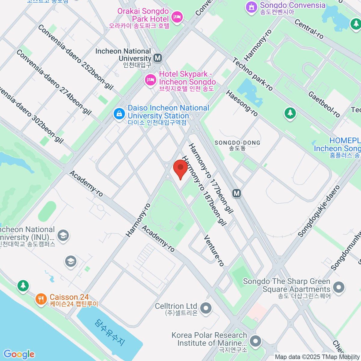 google-map-placeholder-image