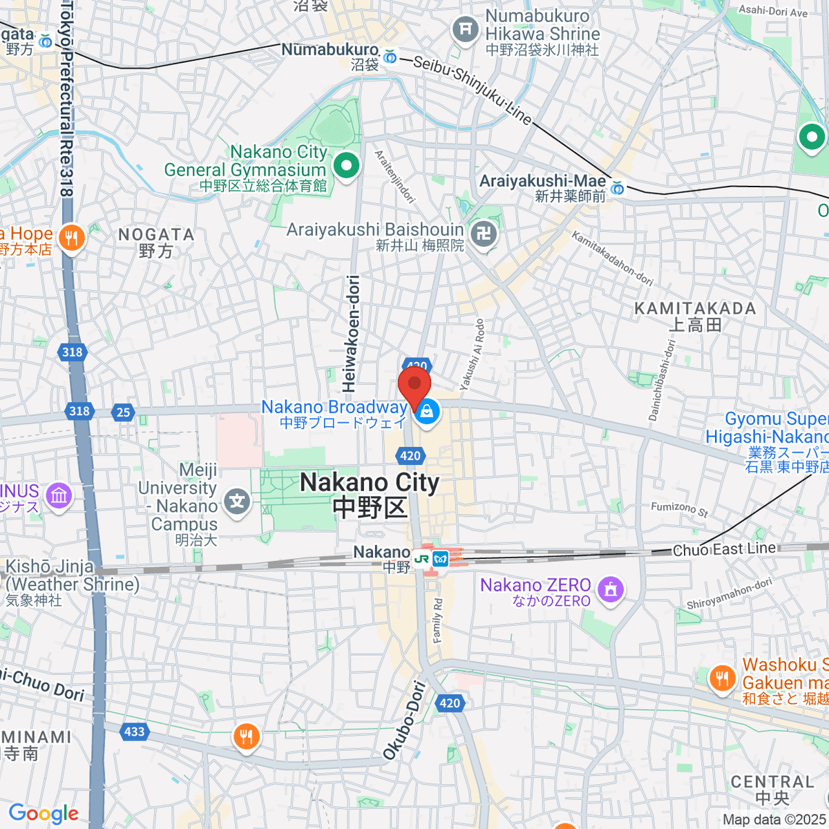 google-map-placeholder-image