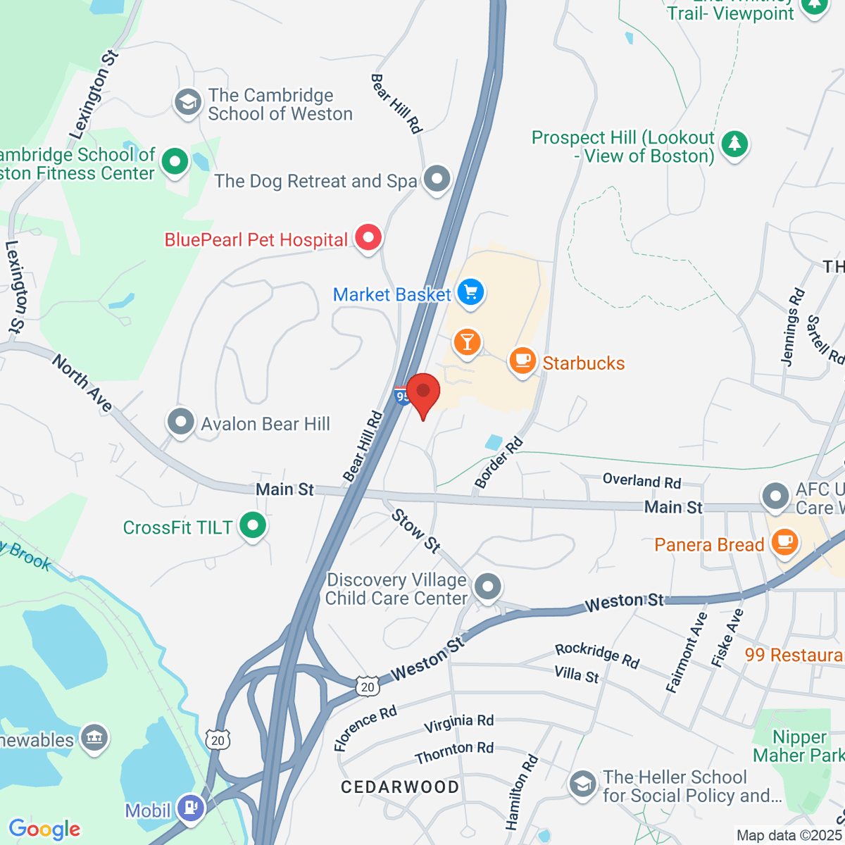 google-map-placeholder-image