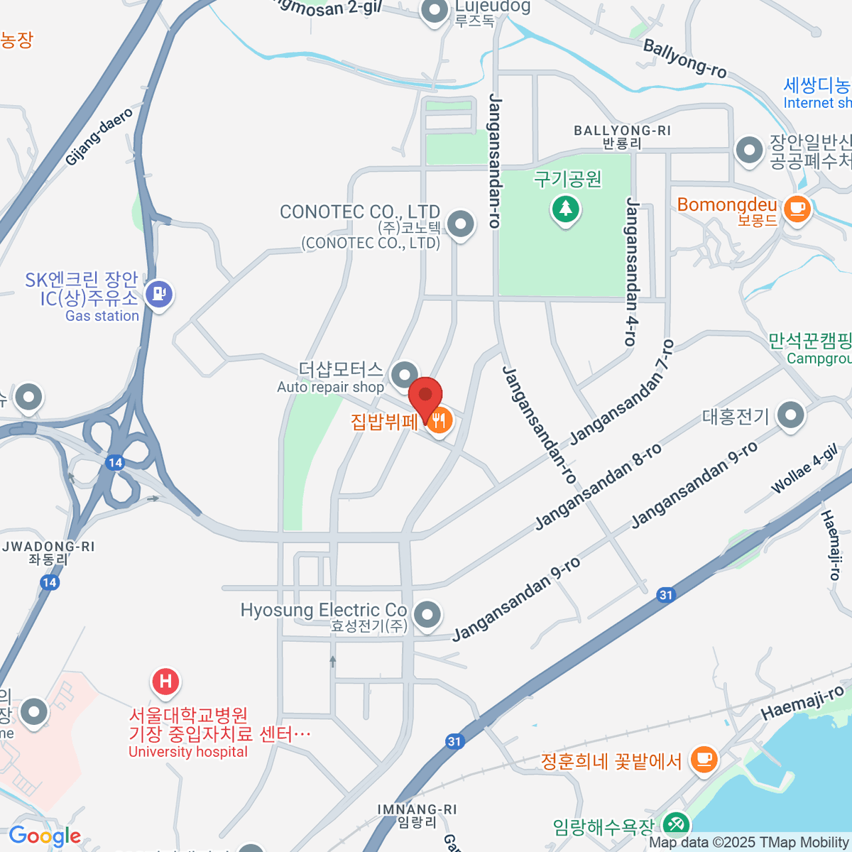 google-map-placeholder-image