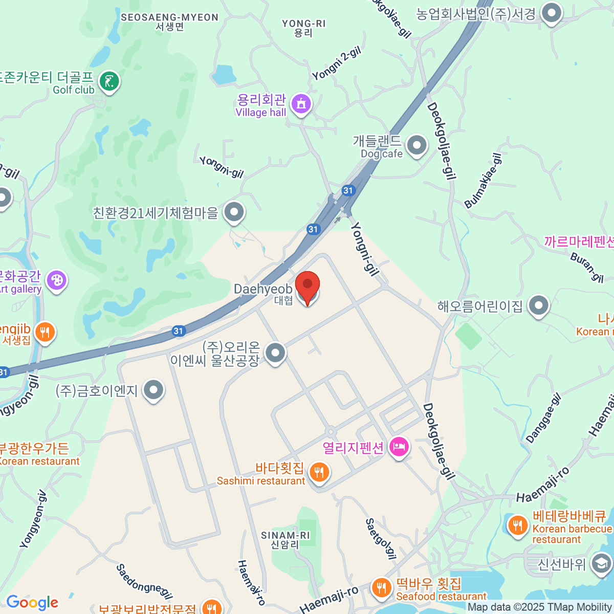 google-map-placeholder-image