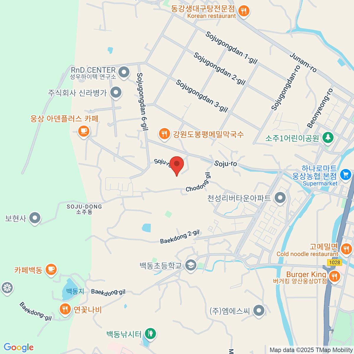 google-map-placeholder-image