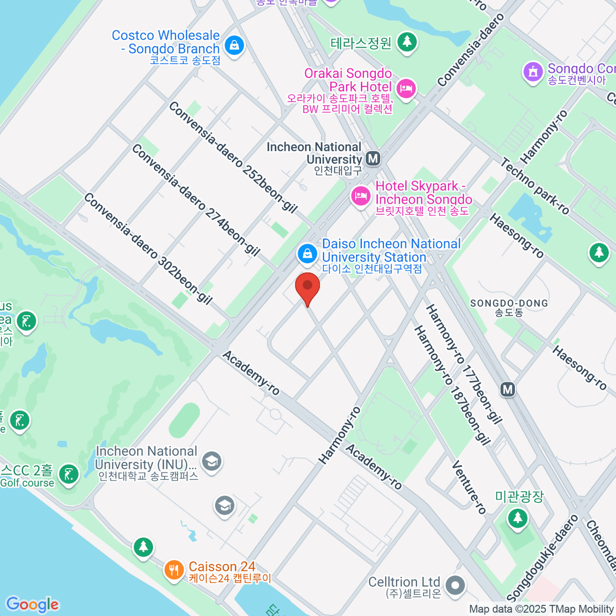 google-map-placeholder-image