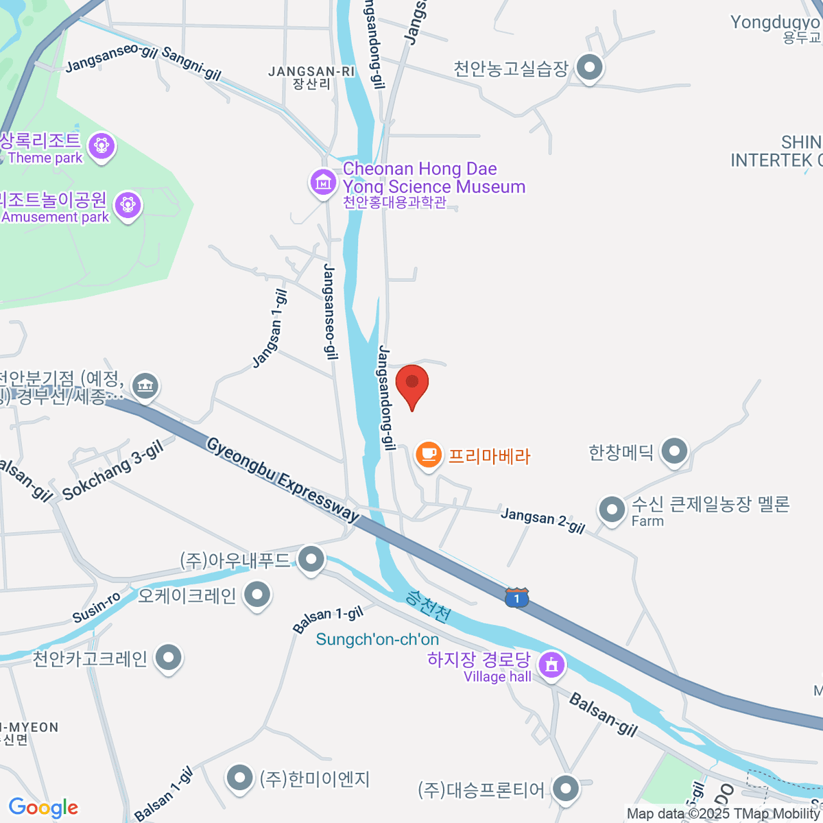 google-map-placeholder-image