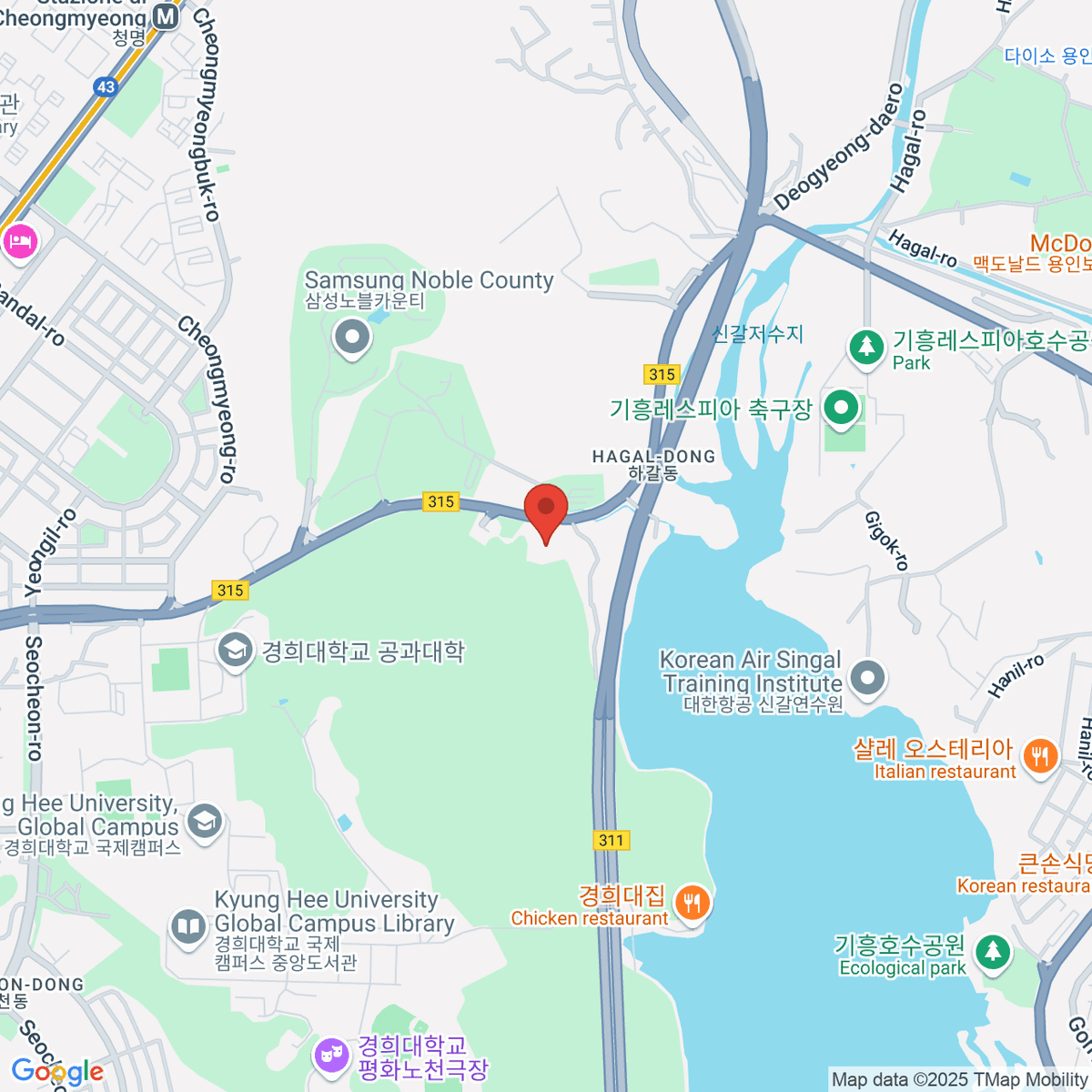 google-map-placeholder-image