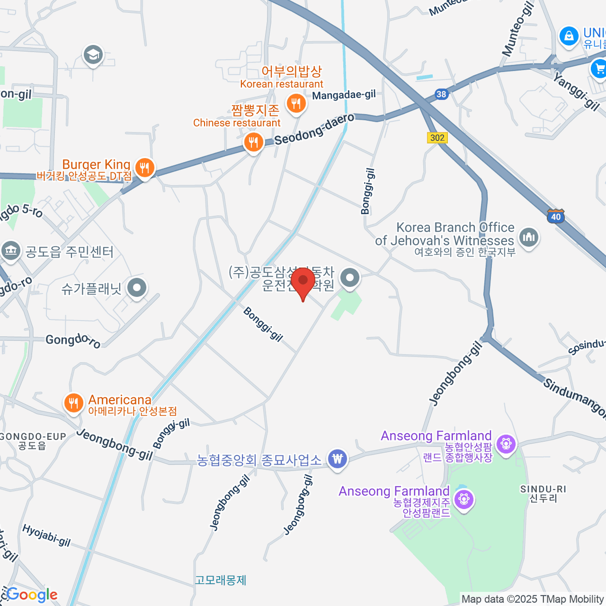 google-map-placeholder-image