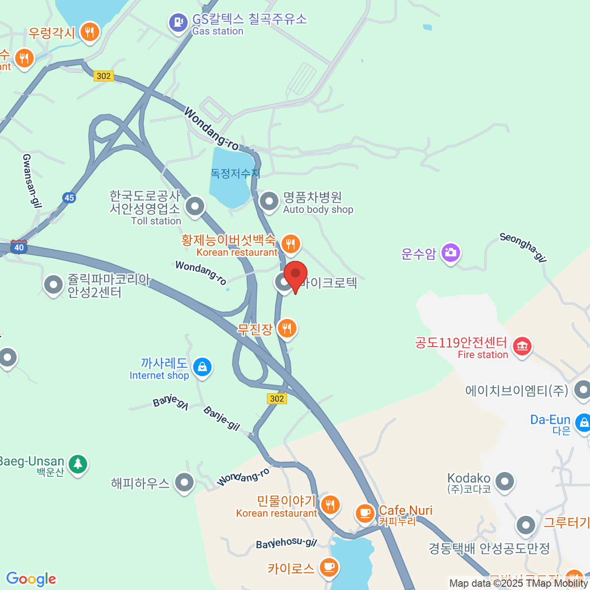 google-map-placeholder-image