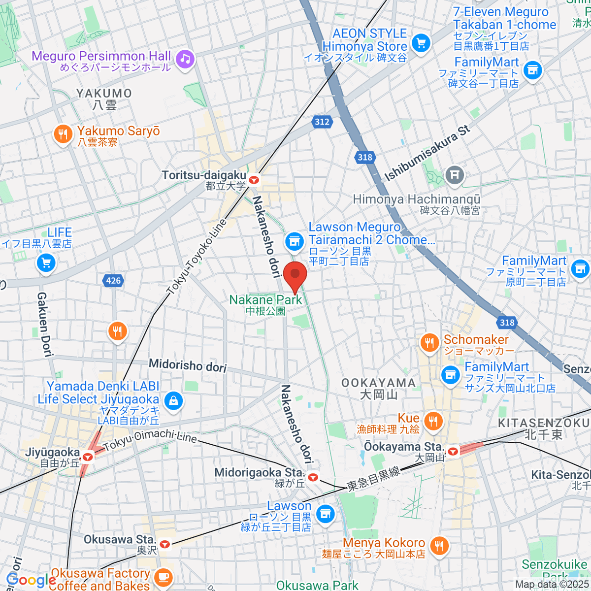 google-map-placeholder-image