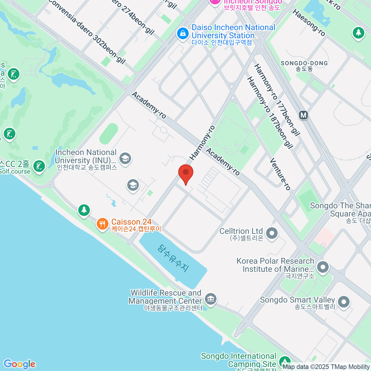 google-map-placeholder-image