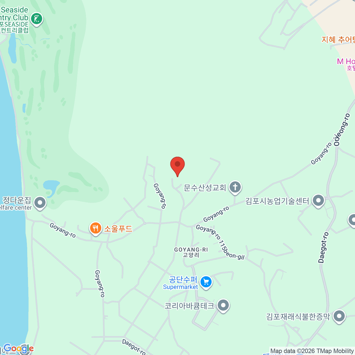 google-map-placeholder-image