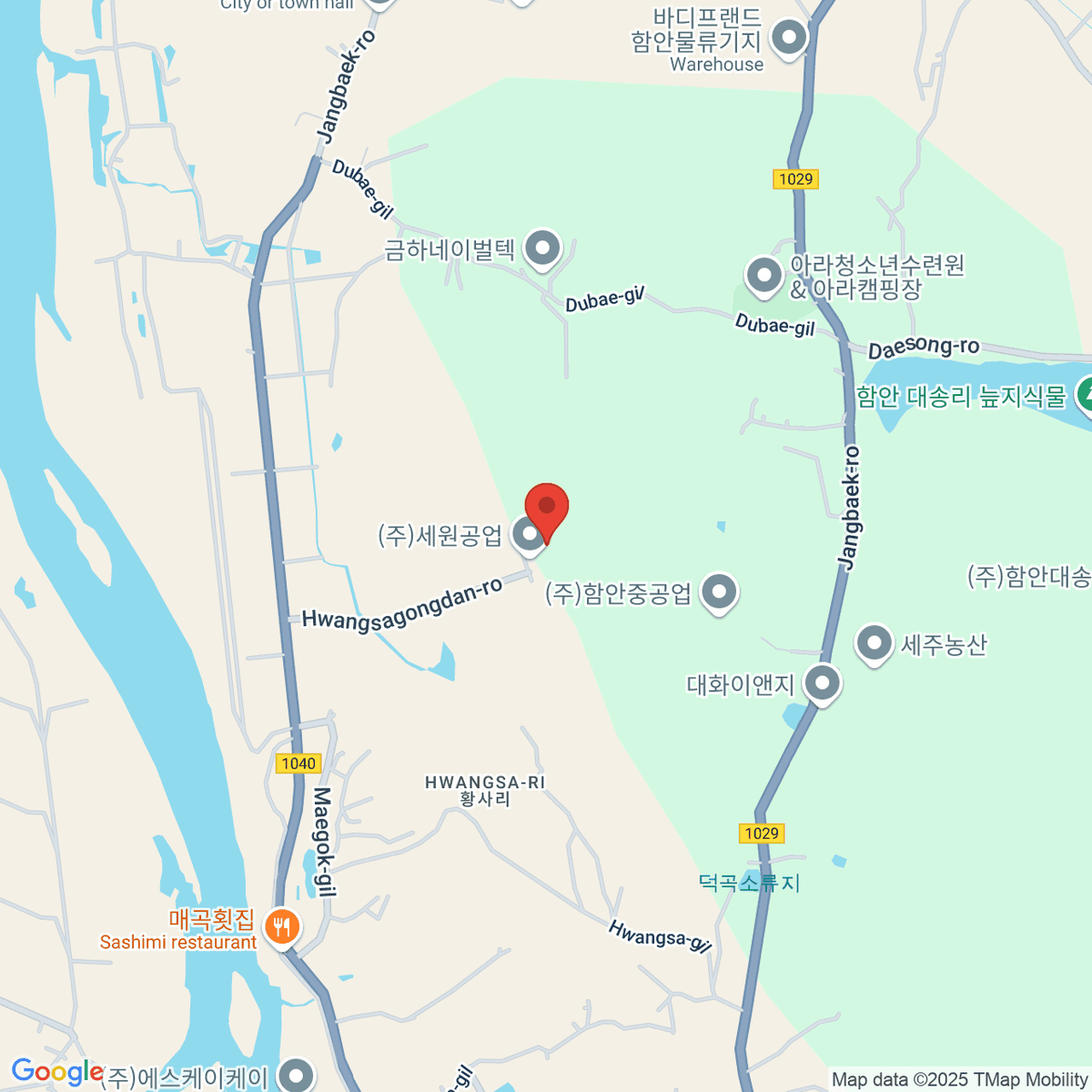 google-map-placeholder-image