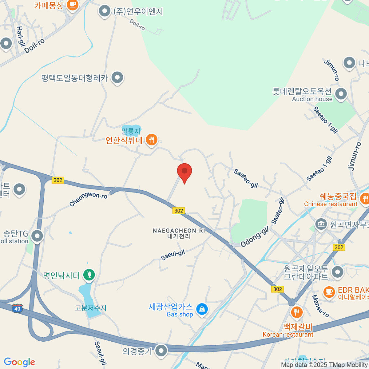 google-map-placeholder-image