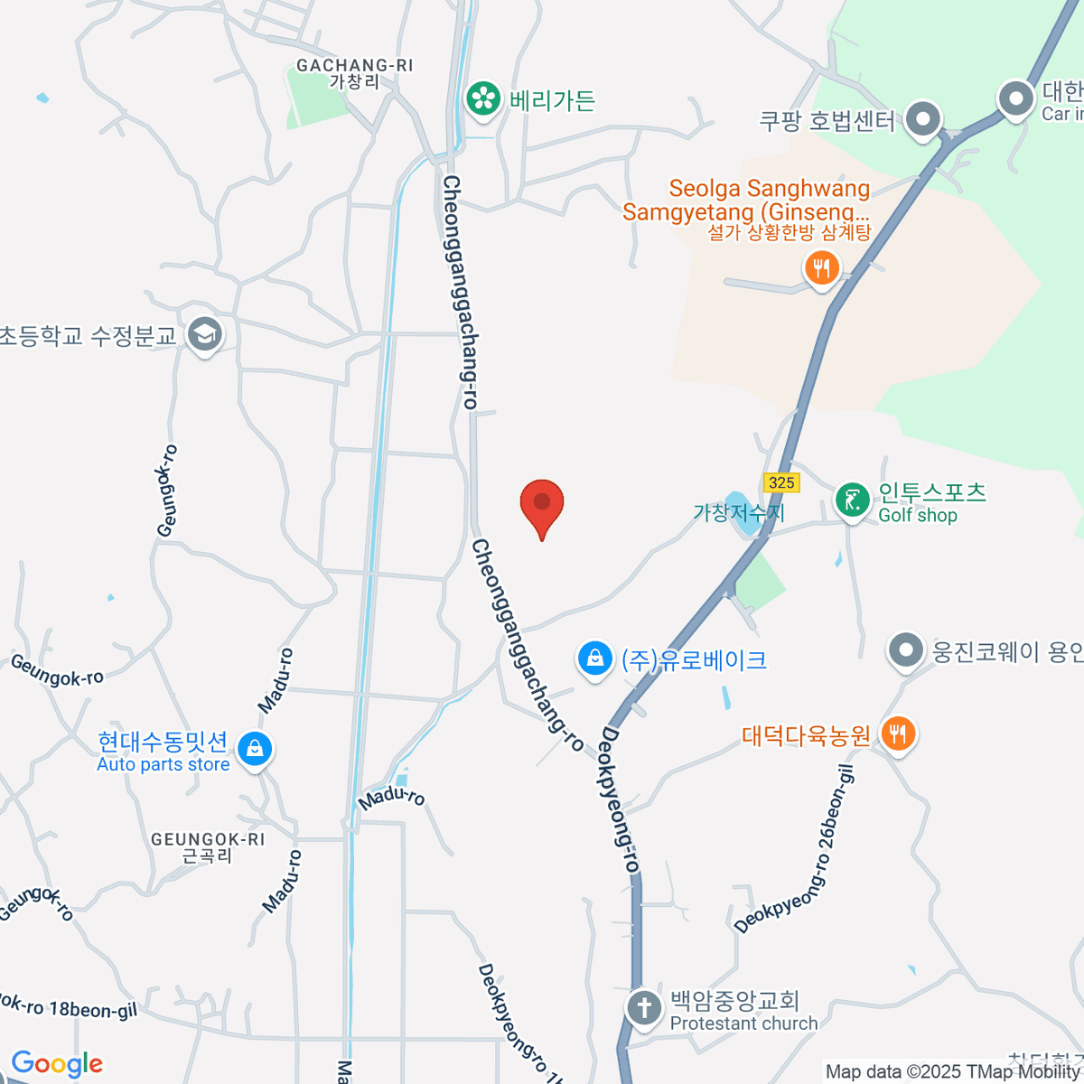 google-map-placeholder-image