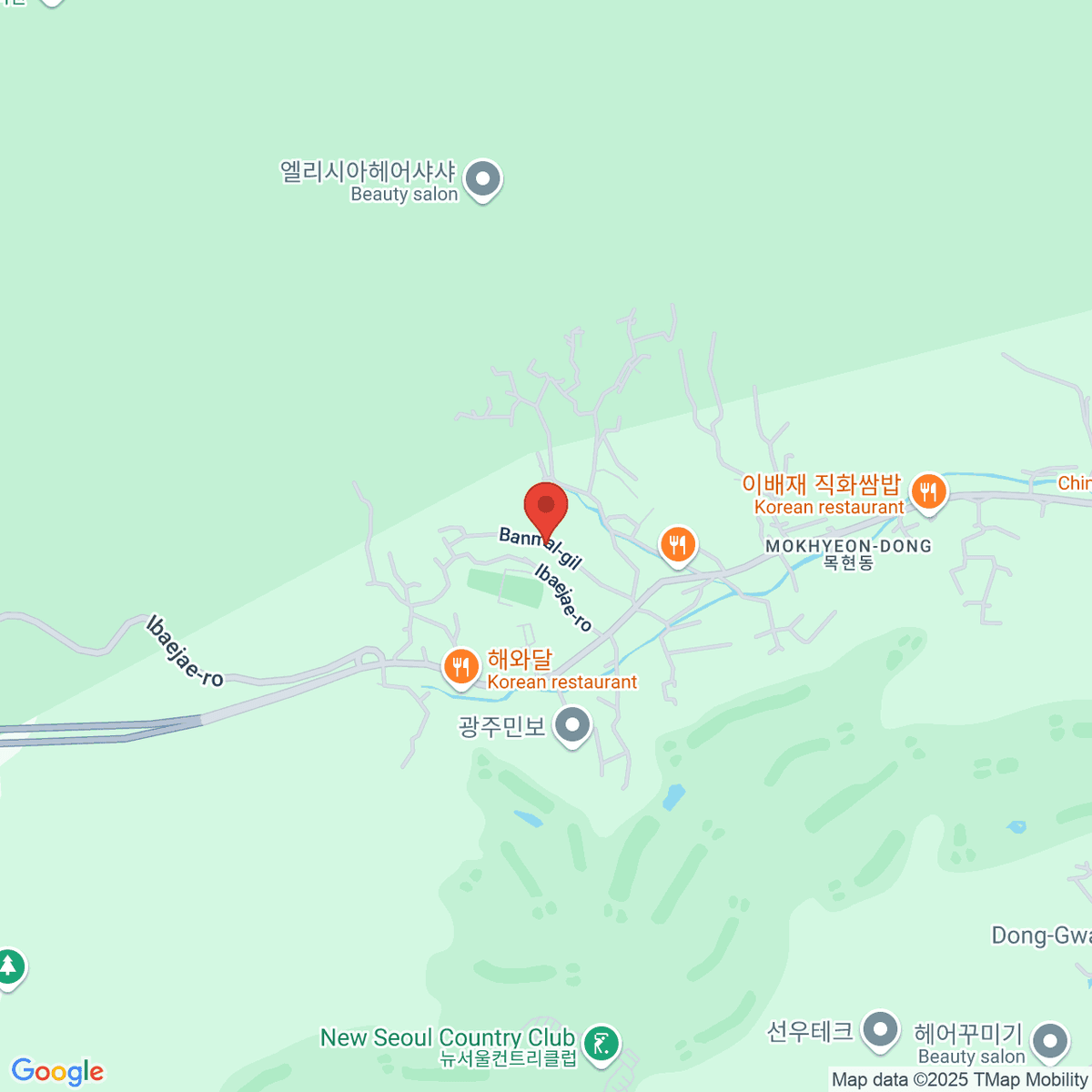 google-map-placeholder-image