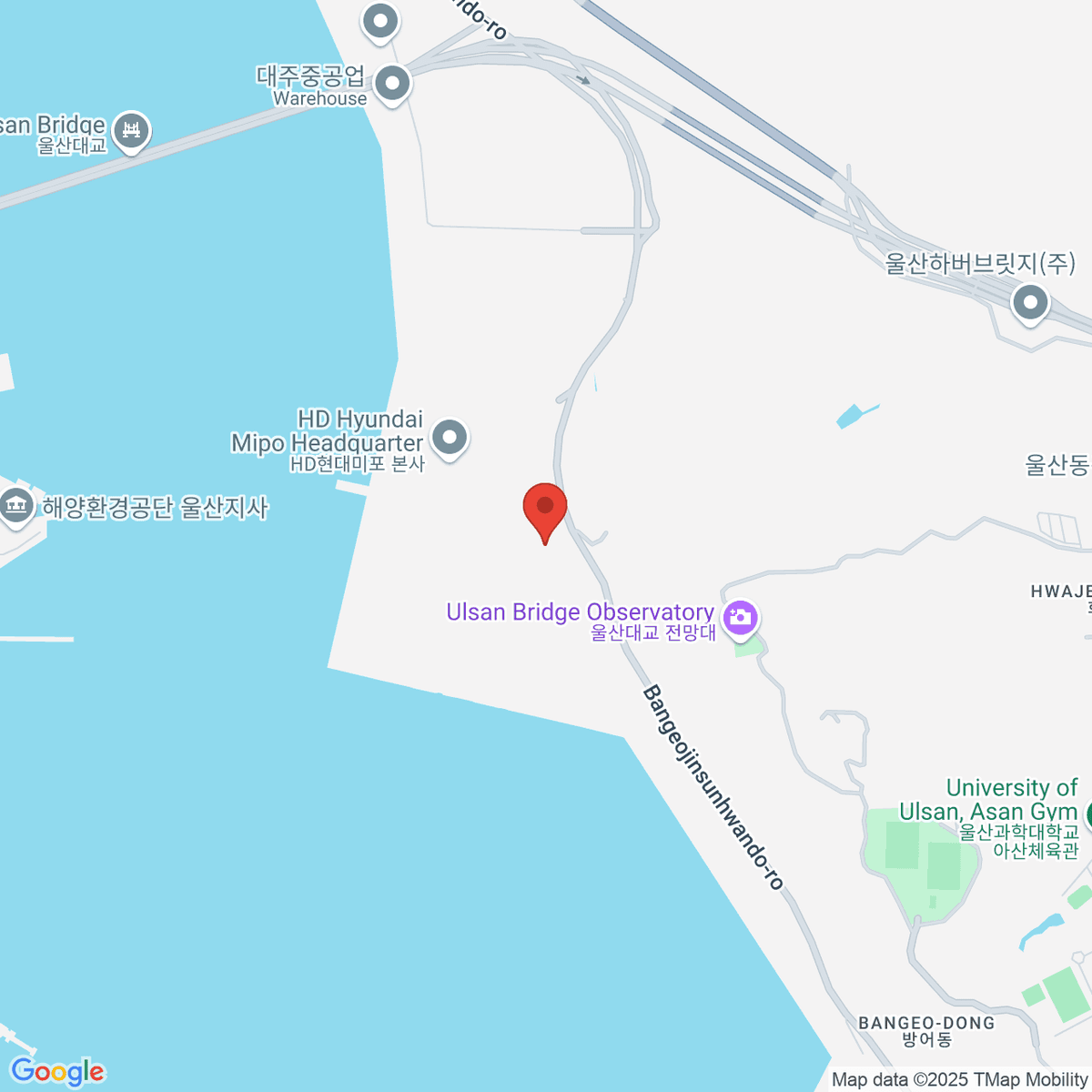 google-map-placeholder-image