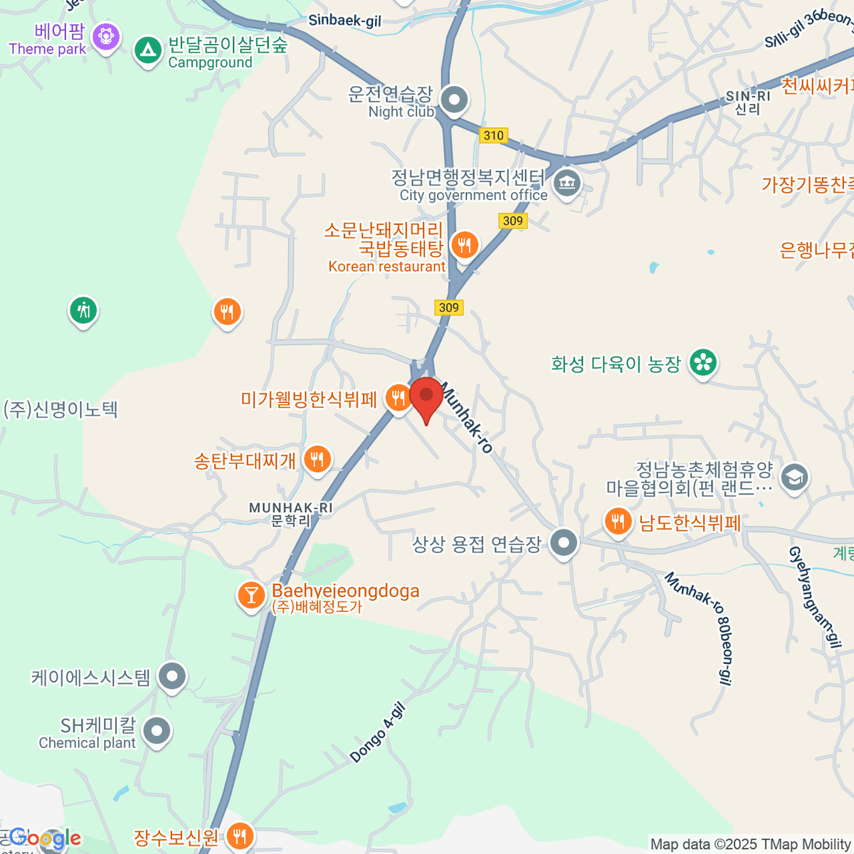 google-map-placeholder-image