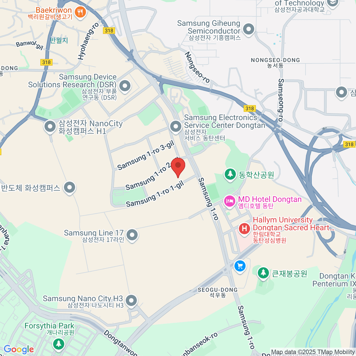 google-map-placeholder-image