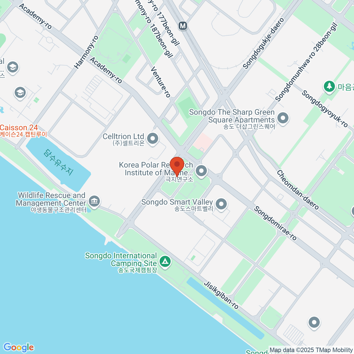 google-map-placeholder-image