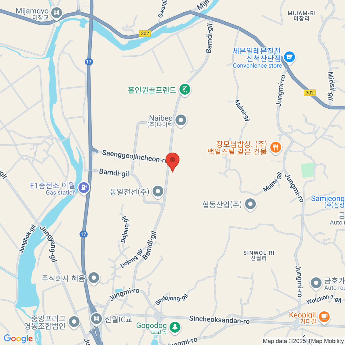 google-map-placeholder-image