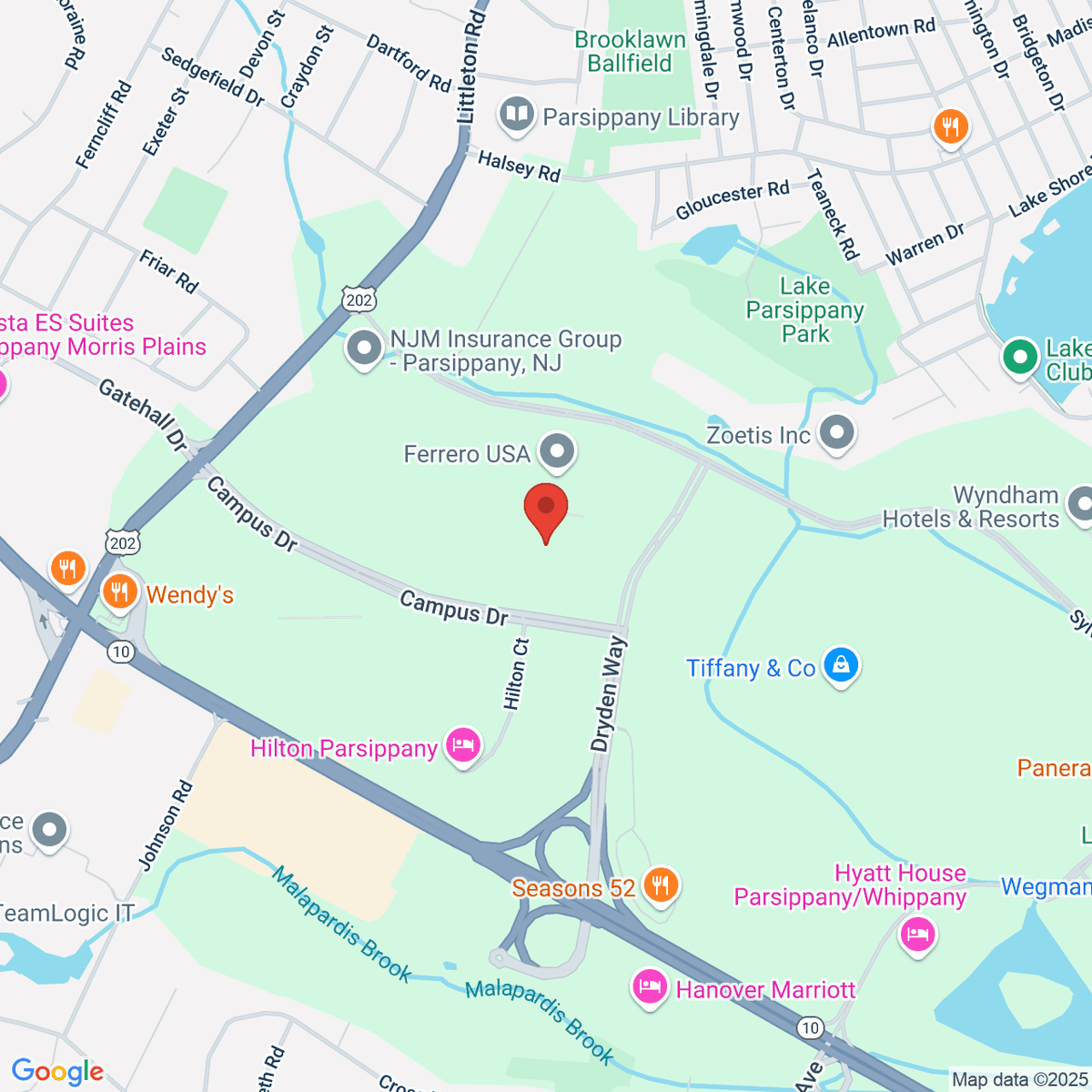 google-map-placeholder-image