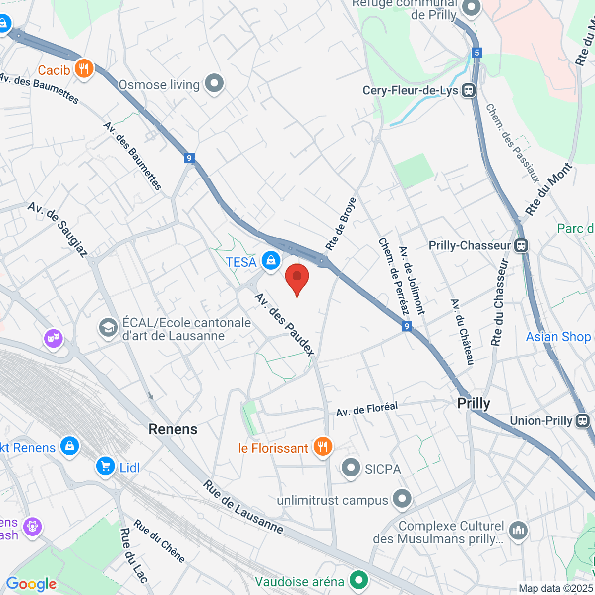 google-map-placeholder-image