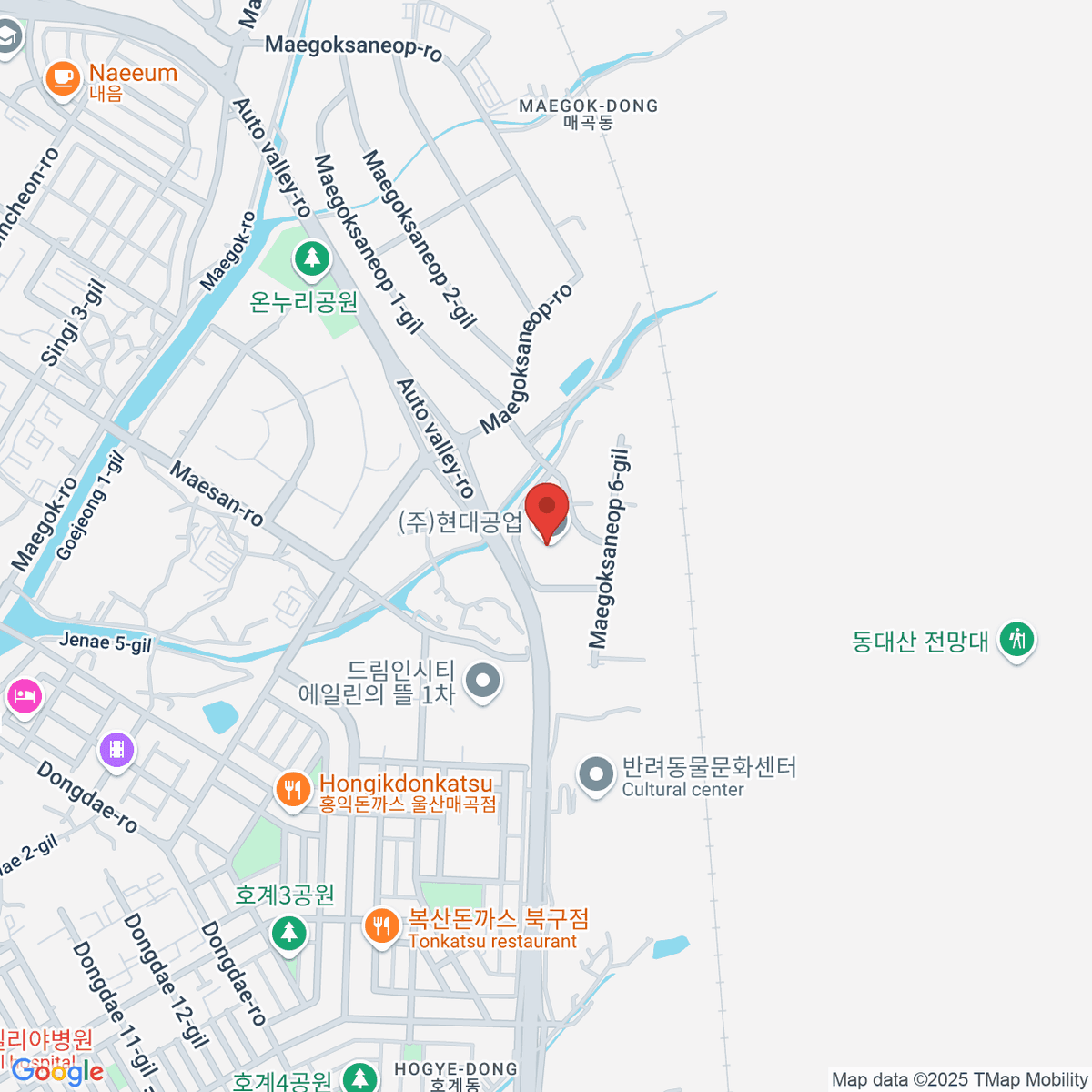 google-map-placeholder-image