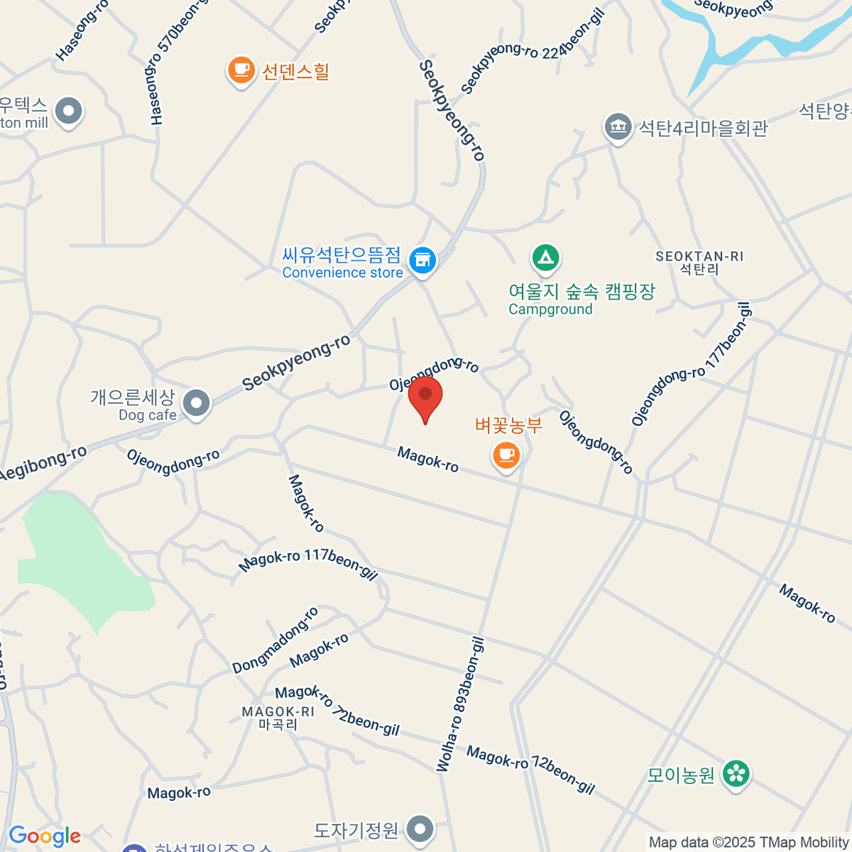 google-map-placeholder-image