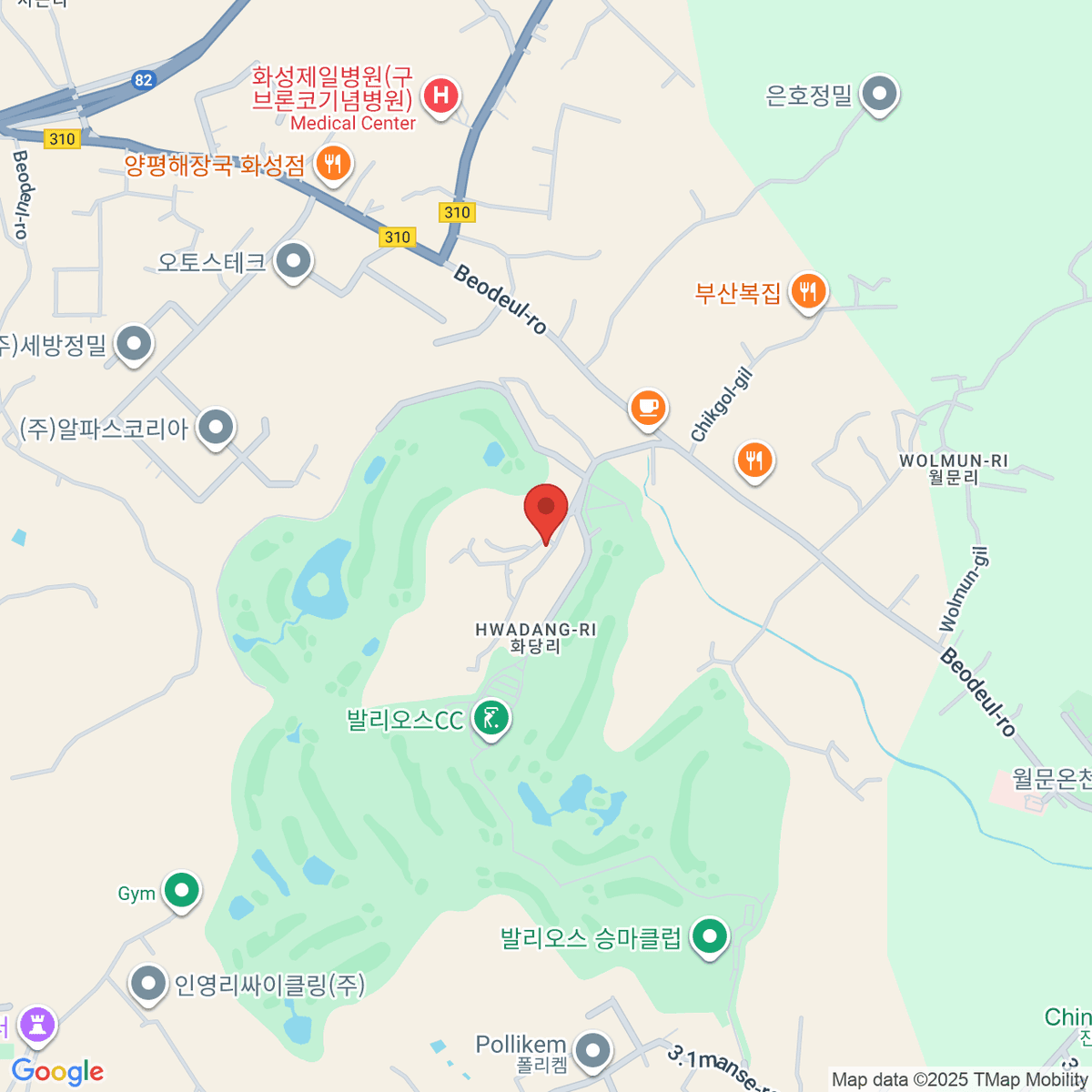 google-map-placeholder-image