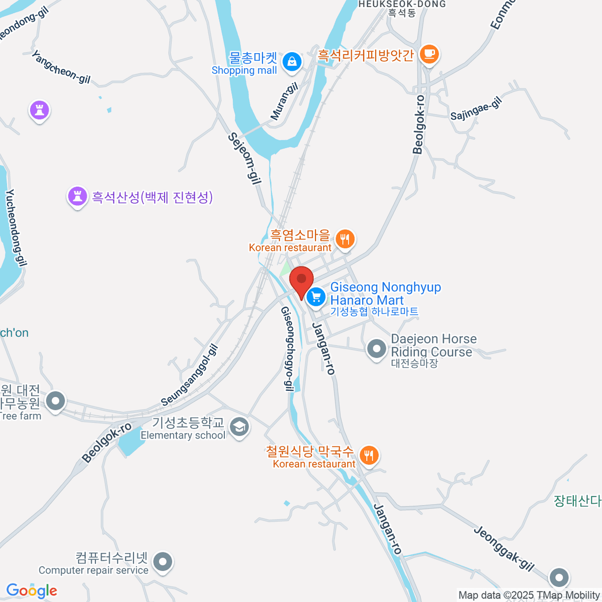 google-map-placeholder-image