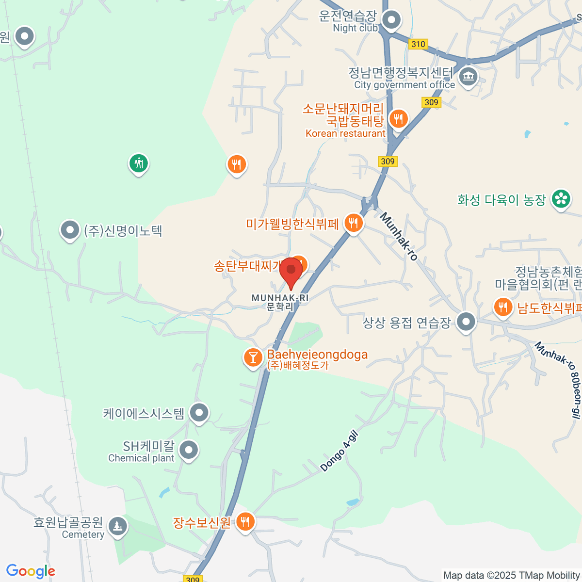 google-map-placeholder-image