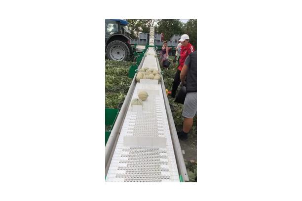 XXL Semi-carried Belt 20m