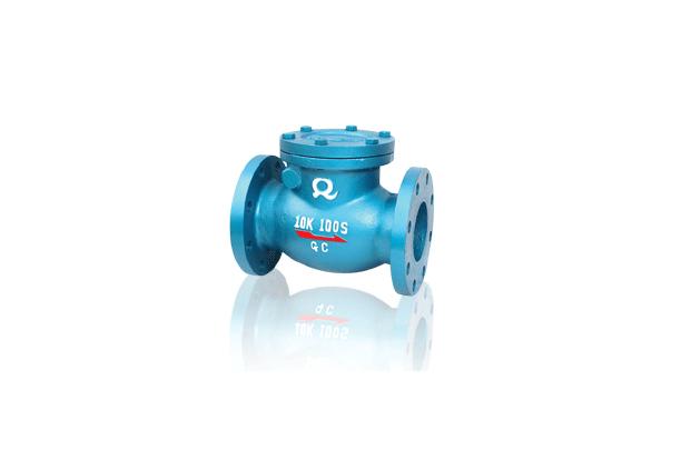 Flanged Swing Check Valve