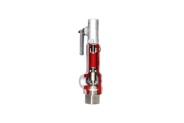 Safety Relief Valve