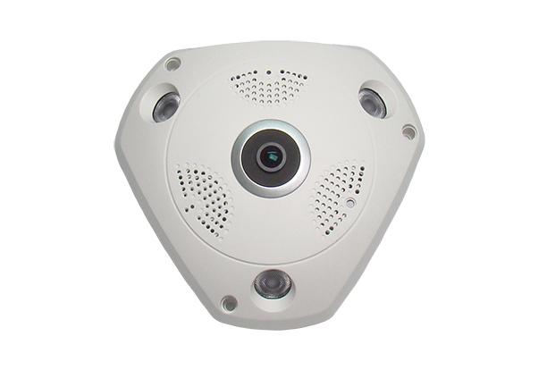 4MP Panoramic (Fisheye) Dome
